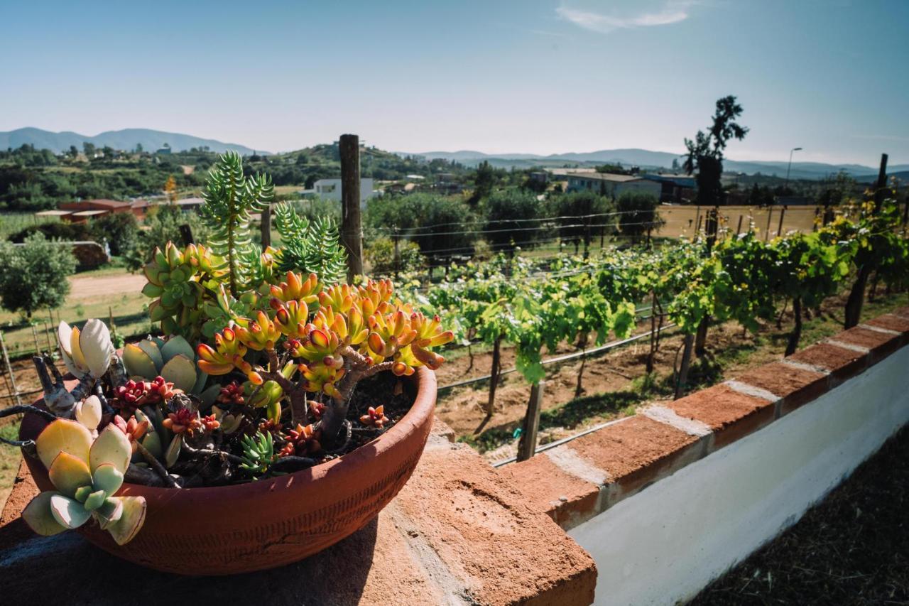 Quinta Sofia Valle De Guadalupe (Adults Only) Luaran gambar
