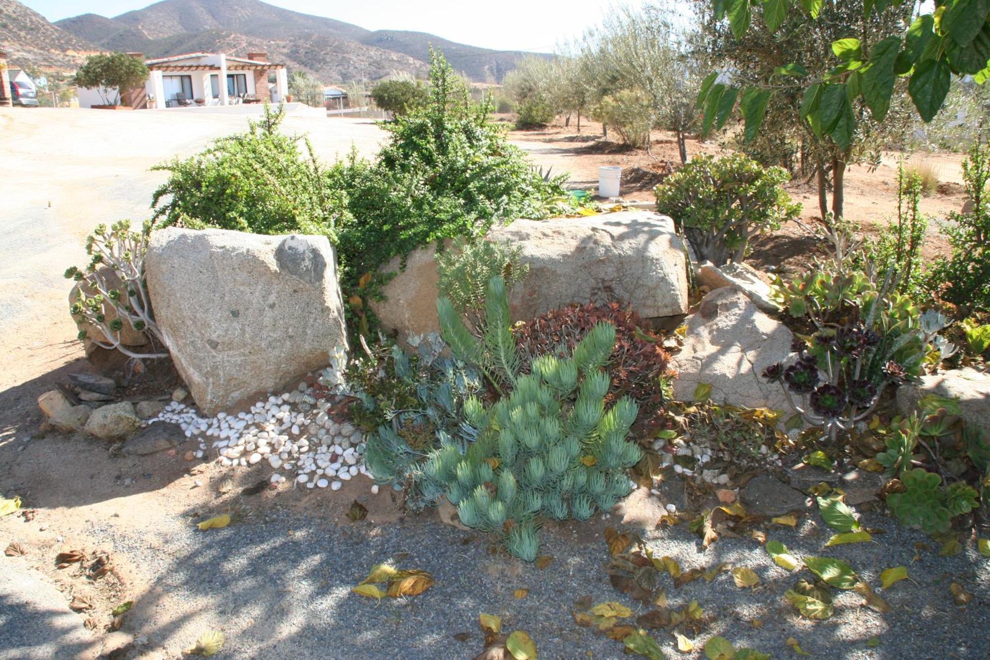 Quinta Sofia Valle De Guadalupe (Adults Only) Luaran gambar