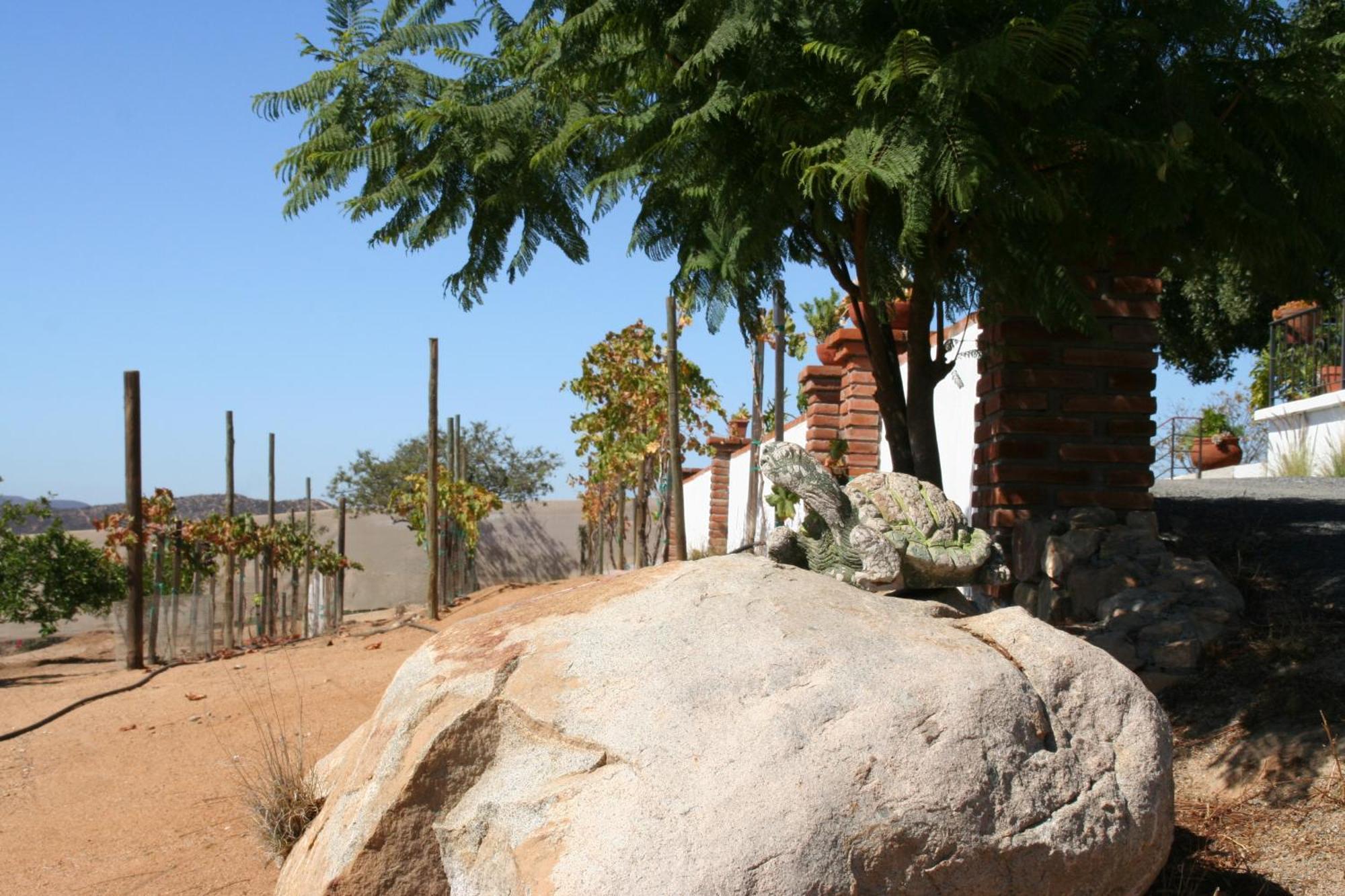 Quinta Sofia Valle De Guadalupe (Adults Only) Luaran gambar